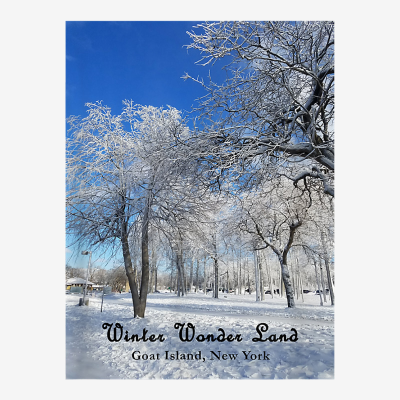 Winter Wonderland Goat Island, New York 2017 T Shirt Adjustable Cap by cm-arts | Artistshot