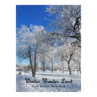 Winter Wonderland Goat Island, New York 2017 T Shirt Maternity Scoop Neck T-shirt | Artistshot