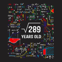 Vintage Square Root Of 289 Shirt 17 Years Old Birthday Math Long Sleev T-shirt | Artistshot