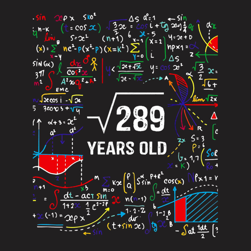 Vintage Square Root Of 289 Shirt 17 Years Old Birthday Math Long Sleev T-Shirt by maecopaharo | Artistshot