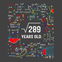 Vintage Square Root Of 289 Shirt 17 Years Old Birthday Math Long Sleev Vintage T-shirt | Artistshot