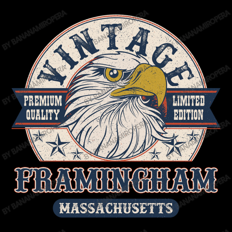 Retro Bald Eagle Framingham Massachusetts Vintage Limited Edition Long Sleeve Shirts by Bananamiropera | Artistshot