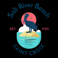 Salt River Beach St Croix Fleece Short | Artistshot