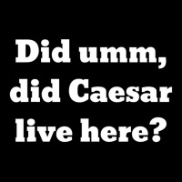 Did Umm, Did Caesar Live Here Youth Zipper Hoodie | Artistshot