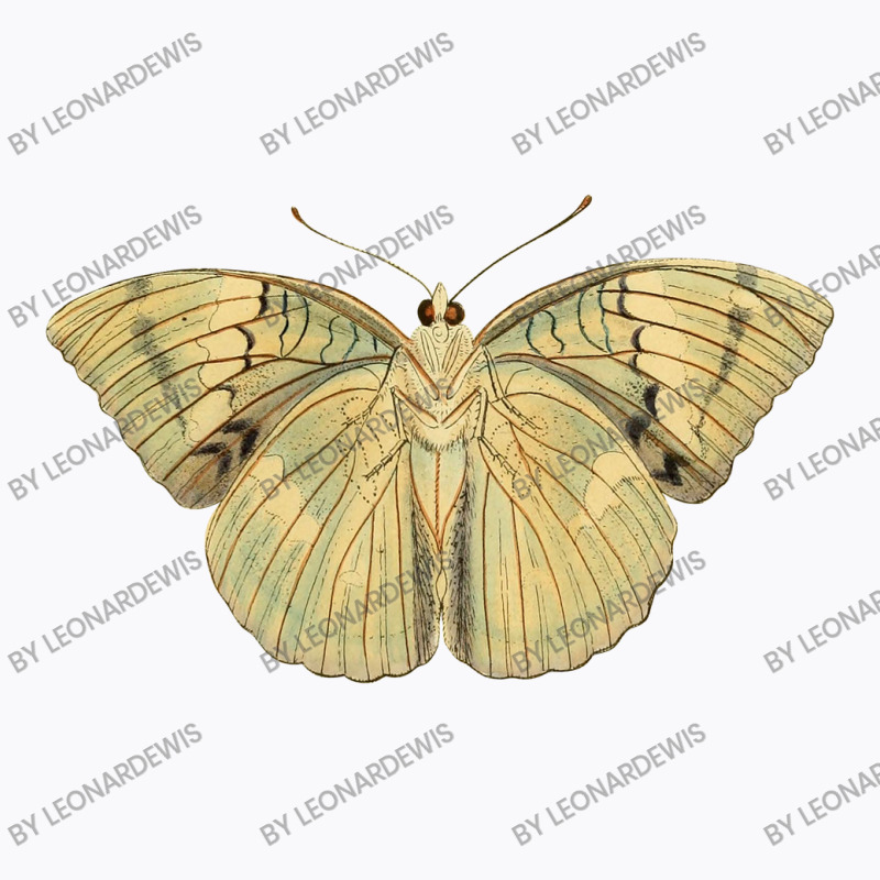 Butterflies Element T-shirt | Artistshot