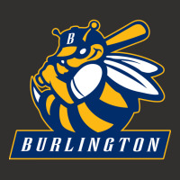 Burlington Bees T Shirts Champion Hoodie | Artistshot