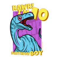 Rawr! I'm 10 Birthday Boys 10th Birthday Dino Noasaurus Youth Sweatshirt | Artistshot