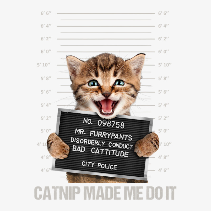 Bad Cat Prison Jail Catnip Made Me Do It Prisoner Funny Cat Ladies ...