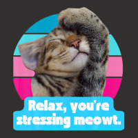 Funny Cat Meme Kitty Feline Lover You're Stressing Meowt Champion Hoodie | Artistshot