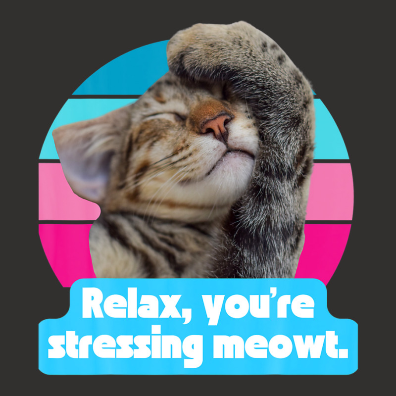 Funny Cat Meme Kitty Feline Lover You're Stressing Meowt Champion Hoodie | Artistshot