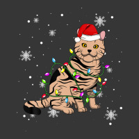 American Shorthair Cat Christmas Lights Christmas Cat Lover Toddler Hoodie | Artistshot