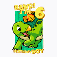 Rawr! I'm 6 Birthday Boys 6th Birthday Dino Stegosaurus T-shirt | Artistshot