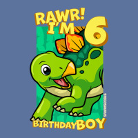 Rawr! I'm 6 Birthday Boys 6th Birthday Dino Stegosaurus Lightweight Hoodie | Artistshot