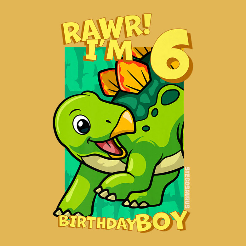 Rawr! I'm 6 Birthday Boys 6th Birthday Dino Stegosaurus Vintage Hoodie And Short Set | Artistshot