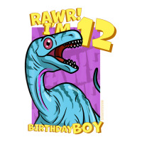 Rawr! I'm 12 Birthday Boys 12th Birthday Dino Noasaurus Youth Tee | Artistshot