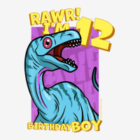 Rawr! I'm 12 Birthday Boys 12th Birthday Dino Noasaurus Baby Bibs | Artistshot