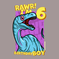 Rawr! I'm 6 Birthday Boys 6th Birthday Dino Noasaurus Vintage Short | Artistshot