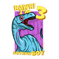 Rawr! I'm 3 Birthday Boys 3rd Birthday Dino Noasaurus Unisex Hoodie | Artistshot