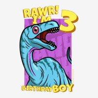 Rawr! I'm 3 Birthday Boys 3rd Birthday Dino Noasaurus Oval Patch | Artistshot