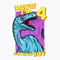 Rawr! I'm 4 Birthday Boys 4th Birthday Dino Noasaurus T-shirt | Artistshot