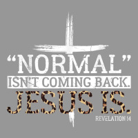 Normal Isn't Coming Back Jesus Is Revelation 14 T Shirt Women's V-neck T-shirt | Artistshot