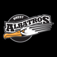 Albatros De Brest V-neck Tee | Artistshot