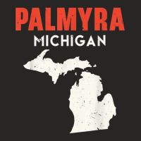 Palmyra Michigan Usa State America Travel Michiganian T Shirt Ladies Fitted T-shirt | Artistshot