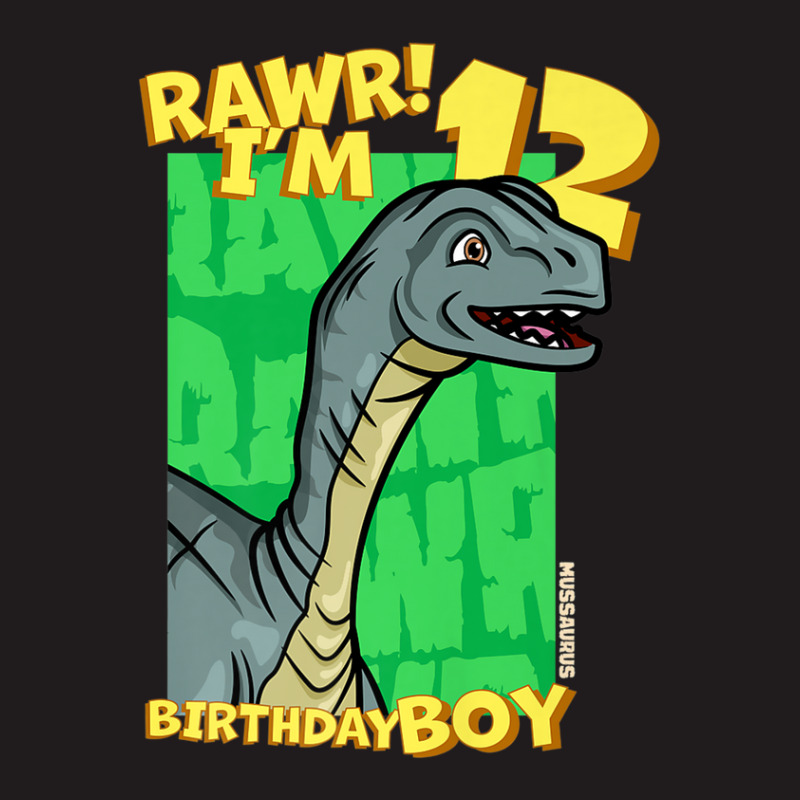 Rawr! I'm 12 Birthday Boys 12th Birthday Dino Mussaurus Waist Apron | Artistshot