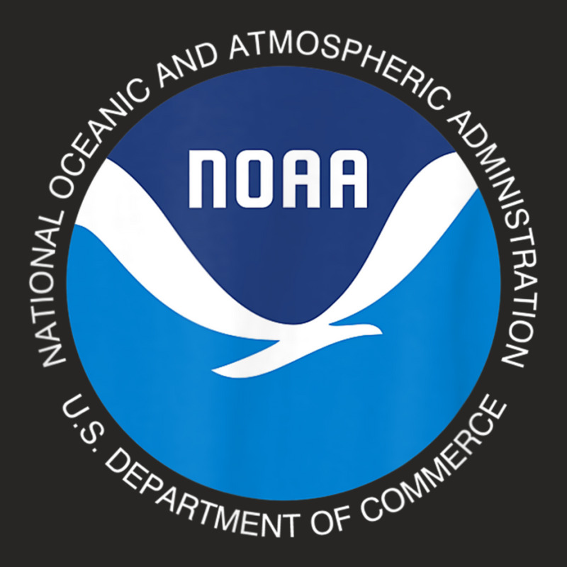 Noaa National Oceanic And Atmospheric Administration Ladies Fitted T-Shirt by SelwynOman | Artistshot