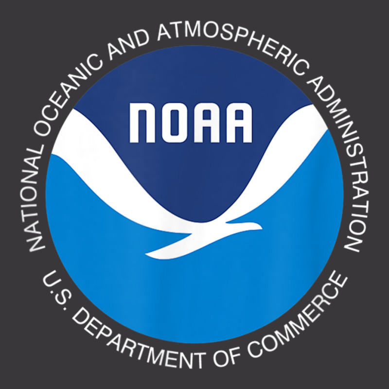 Noaa National Oceanic And Atmospheric Administration Ladies Curvy T-Shirt by SelwynOman | Artistshot