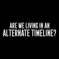 Are We Living In An Alternate Timeline Pullover Hoodie Adjustable Cap | Artistshot