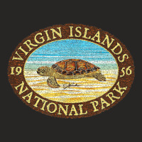 Jcombs Virgin Islands National Park, Sea Turtle On Beach Ladies Fitted T-shirt | Artistshot