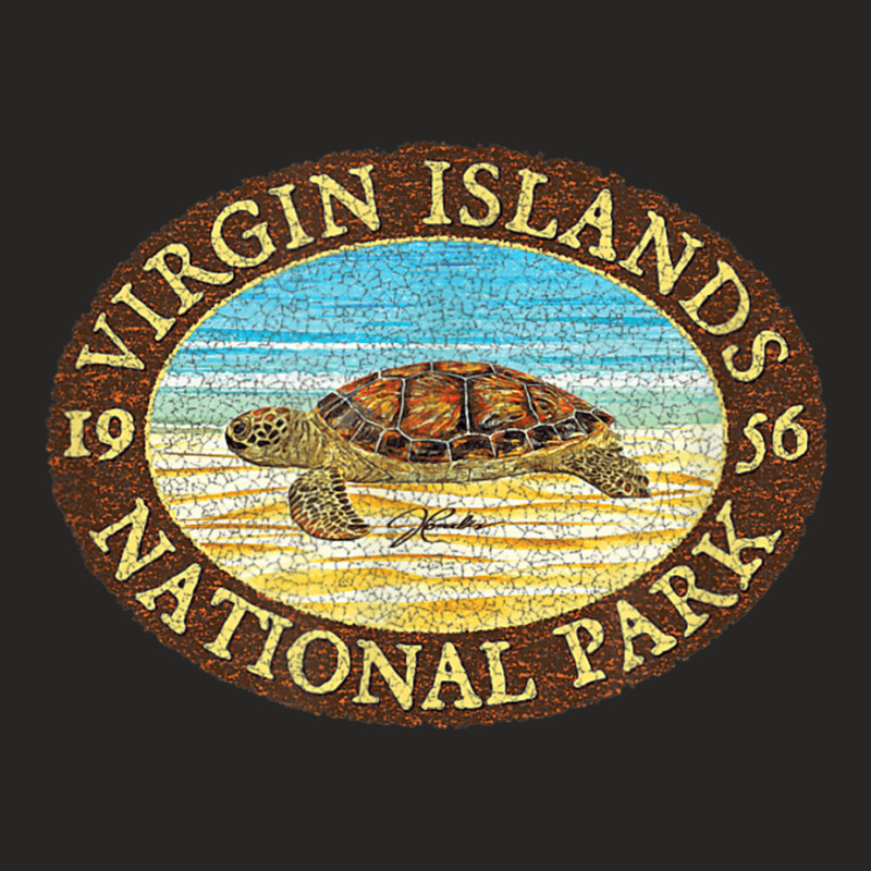 Jcombs Virgin Islands National Park, Sea Turtle On Beach Ladies Fitted T-Shirt by BethelThrift | Artistshot