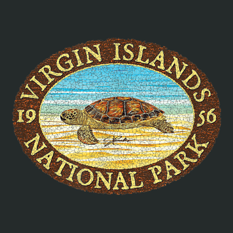 Jcombs Virgin Islands National Park, Sea Turtle On Beach Women's Triblend Scoop T-shirt by BethelThrift | Artistshot