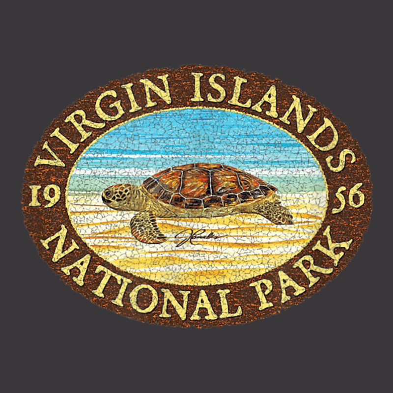 Jcombs Virgin Islands National Park, Sea Turtle On Beach Ladies Curvy T-Shirt by BethelThrift | Artistshot