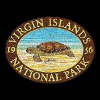 Jcombs Virgin Islands National Park, Sea Turtle On Beach Maternity Scoop Neck T-shirt | Artistshot