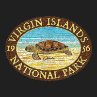 Jcombs Virgin Islands National Park, Sea Turtle On Beach Ladies Polo Shirt | Artistshot