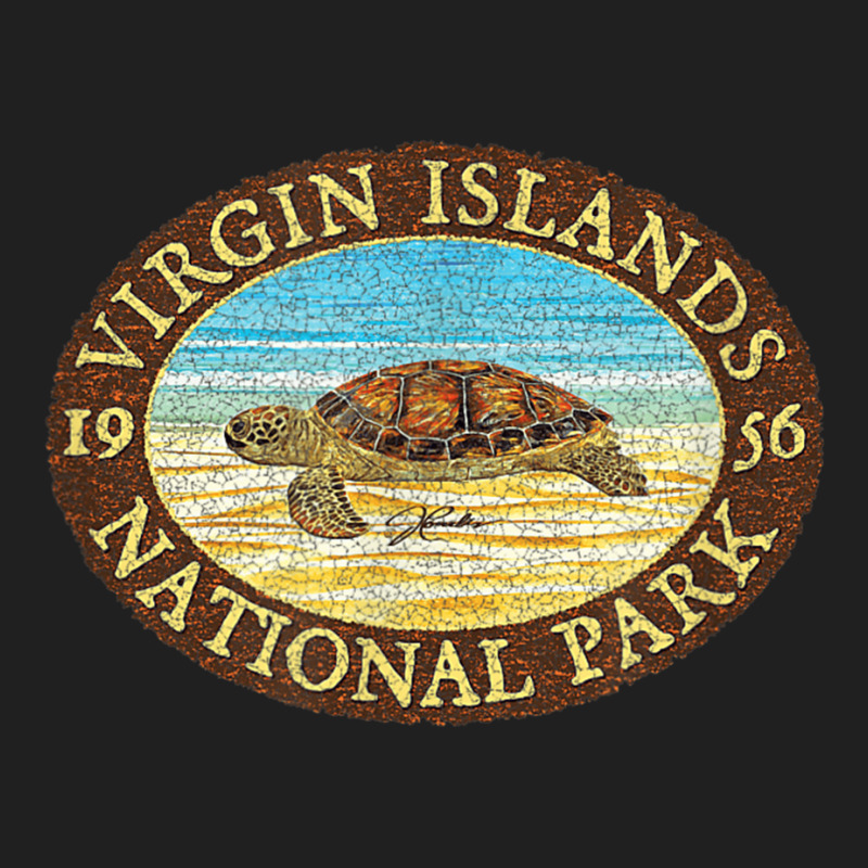 Jcombs Virgin Islands National Park, Sea Turtle On Beach Ladies Polo Shirt by BethelThrift | Artistshot