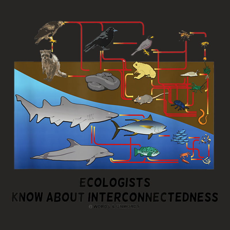 Ecologists Know About Interconnectedness Food Chains Ladies Fitted T-Shirt by CassieKim | Artistshot