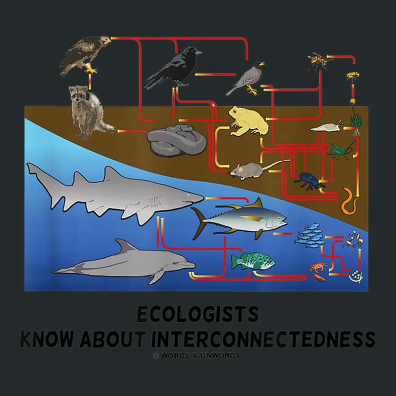 Ecologists Know About Interconnectedness Food Chains Women's Triblend Scoop T-shirt by CassieKim | Artistshot