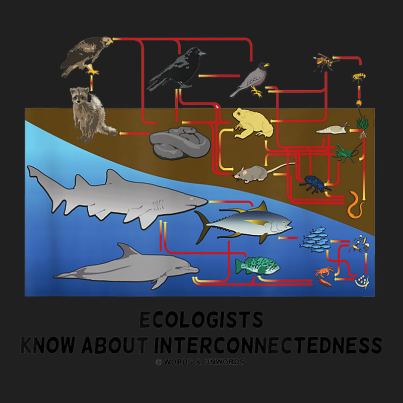 Ecologists Know About Interconnectedness Food Chains Ladies Polo Shirt by CassieKim | Artistshot