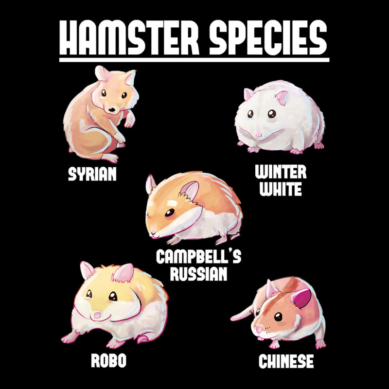 Hamster Guinea Pig Species172 Hamsters Zipper Hoodie by cm-arts | Artistshot