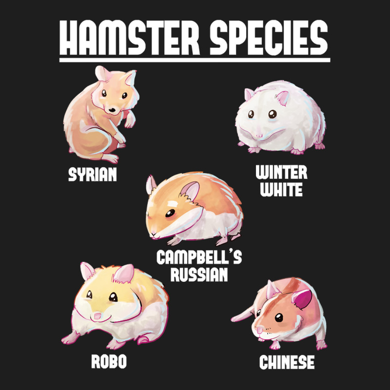 Hamster Guinea Pig Species172 Hamsters Classic T-shirt by cm-arts | Artistshot