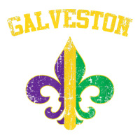 Galveston Texas Mardi Gras Fleur De Lis Symbol T Shirt Unisex Hoodie | Artistshot