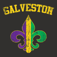 Galveston Texas Mardi Gras Fleur De Lis Symbol T Shirt Champion Hoodie | Artistshot