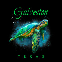 Galveston Texas Watercolor Sea Turtle T Shirt Toddler Sweatshirt | Artistshot