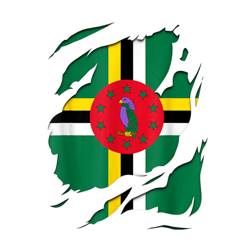 Dominica Flag Shirt T Shirt 3/4 Sleeve Shirt | Artistshot