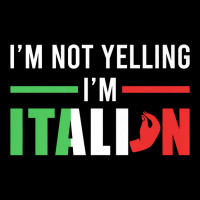 Funny I Am Not Yelling Italian Italy Italian Flag Aggressive Premium T Youth Hoodie | Artistshot