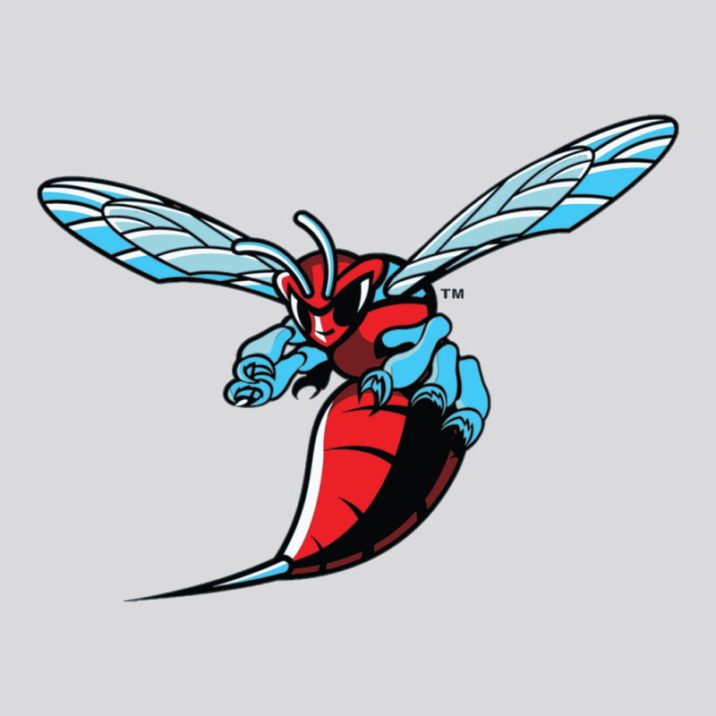 Delaware State Hornets Women's Triblend Scoop T-shirt | Artistshot