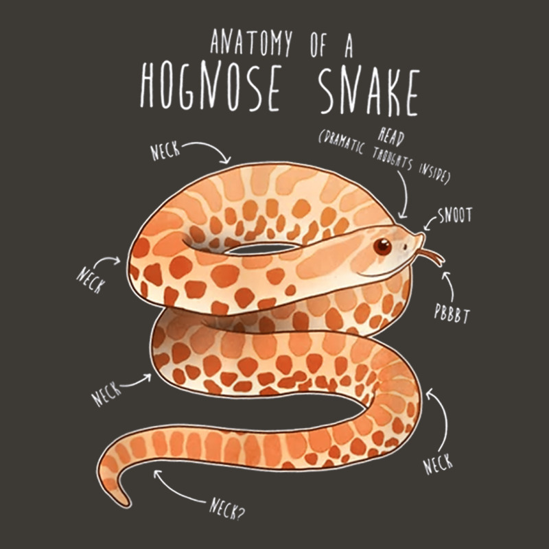 Anatomy Of A Albino Hognose Snake Bucket Hat by AmberKelsey | Artistshot